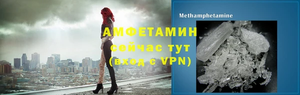 гидра Володарск