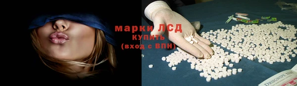 дживик Вязьма