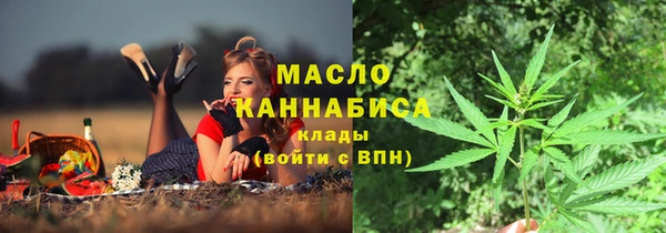 дживик Вязьма
