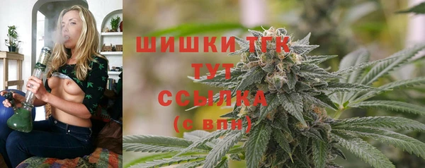 дживик Вязьма