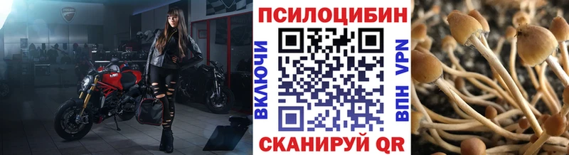 Галлюциногенные грибы Cubensis Северская