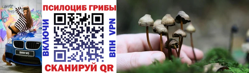 blacksprut ONION  где купить наркоту  Северская  Галлюциногенные грибы мухоморы 
